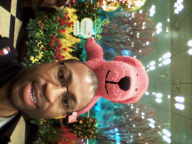 Utmost Top 5 Bucket List for Southeast Asia. Pink Bear in Singapore Airport.