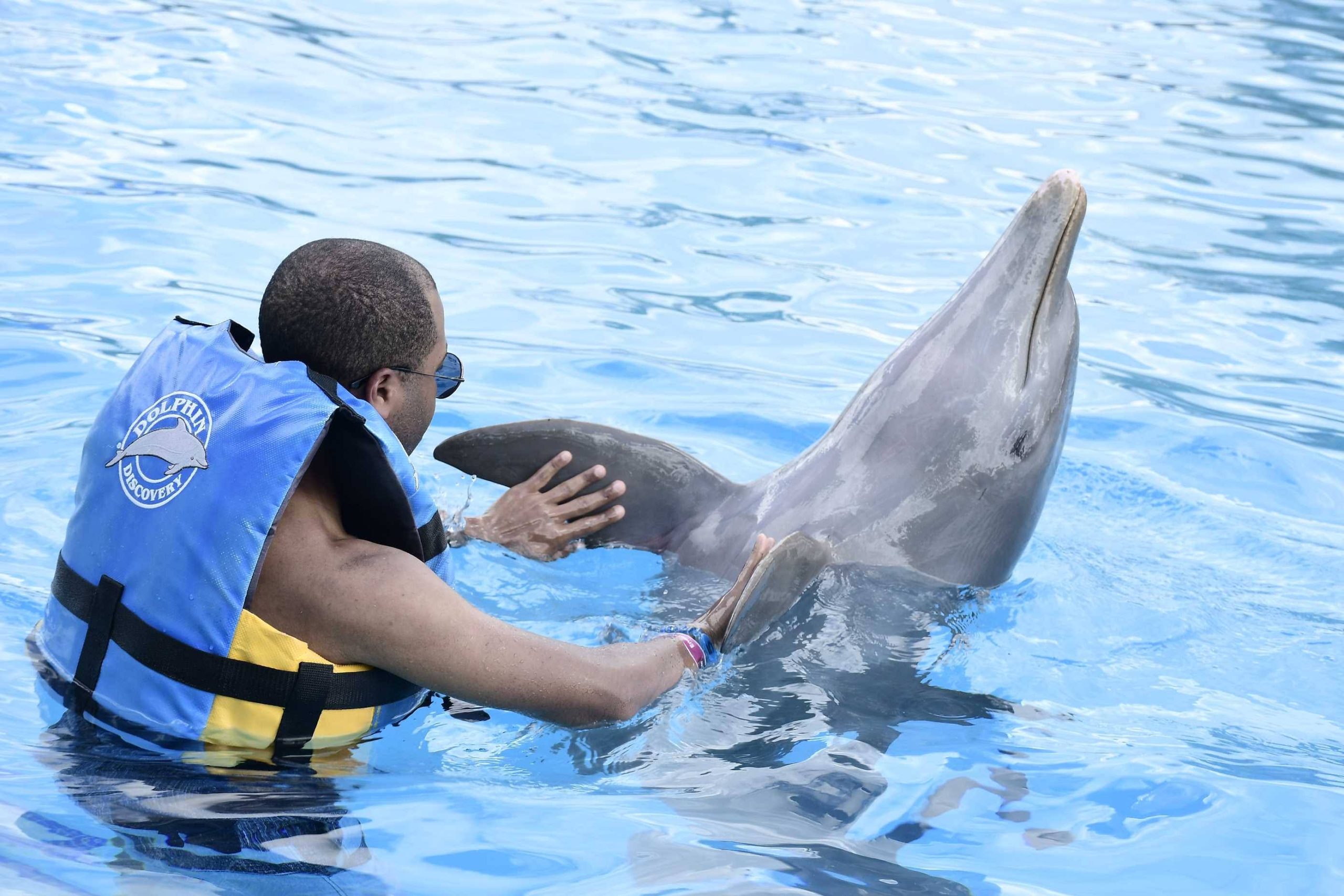 Budget Travel Blog. Solo budget travel. Dolphin Handshake