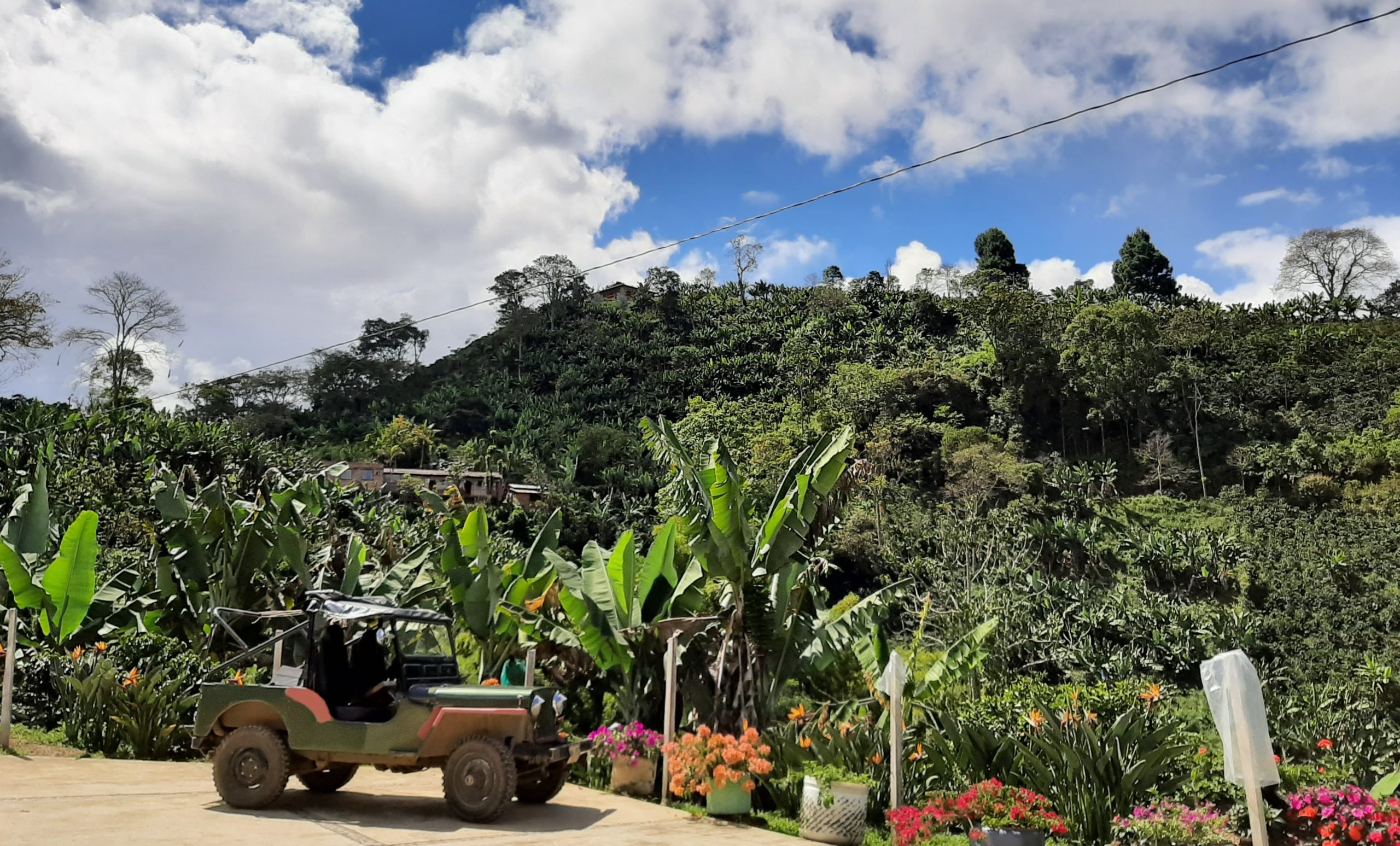 Jardin Coffee Tour. Coffee farm in Jardin, Colombia.